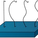 Изследваме гръбначния стълб