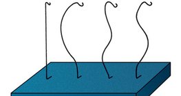 Изследваме гръбначния стълб