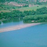 Риф в Дунав