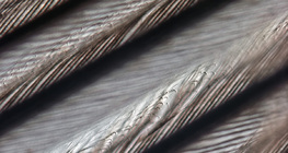 Фината структура на птичето перо (виждат се и клипсите за захващане на перото)