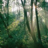 Гора. огряна от слънцето