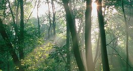 Гора. огряна от слънцето