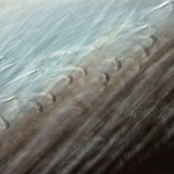 Фината структура на птичето перо (виждат се и клипсите за захващане на перото)