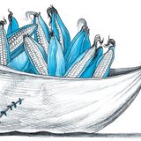 Földműves viszi haza a szüretről a törökbúzát (kukoricát)