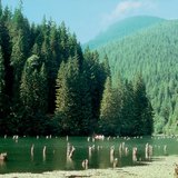 Червено езеро (Румъния)