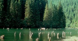 Червено езеро (Румъния)