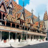 Болница, орнаментална украса (готика)