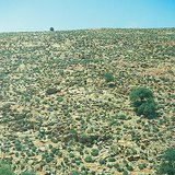 Каменна пустиня