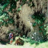 Нагънати скални пластове