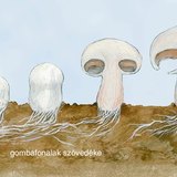 A gombák szaporodása 