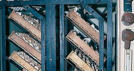 Яйца в люпилня