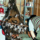 Опръстеняване на лястовици, уловени с мрежа