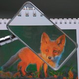 Изпъкнала леща