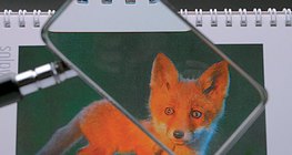 Изпъкнала леща