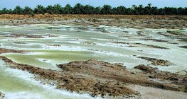 Соли, образувани от изпаряване на временни езера с морска вода