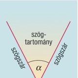 Части на ъгъла