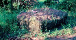 Компостиране