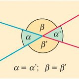 Противоположни ъгли