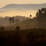 Мъглива утрин