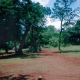 Латеритна почва в Мексико