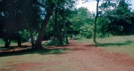 Латеритна почва в Мексико