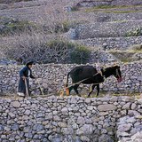 Agriculture in the Mediterranean areas