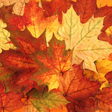 Есенни листа