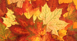 Есенни листа