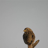 Домашно врабче (женска птица)