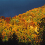 Есенна гора