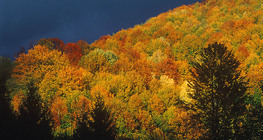 Есенна гора