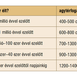 Az emberelődök néhány jellemző tulajdonsága