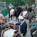 "Стоянка за таксита" на остров Родос