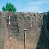 Профил на чернозем