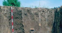 Профил на чернозем