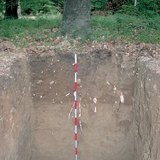 Профил на кафява горска почва