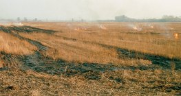 Изгаряне на стърнища