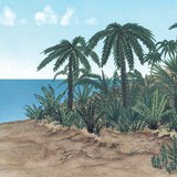 Растителността през юрския период