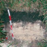 Разрез на почвата рендзини