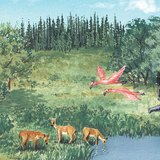 Животът през миоцена