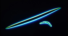 Скелетни спикули на гъба - микро- и макросклери (Spongilla lacustris)