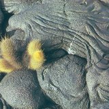 Втвърдена лава