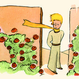 Малкият принц и розите