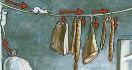 Животът на домашната мишка в килера и в мазето