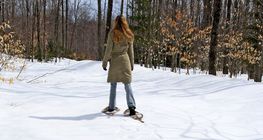 Снегоходки