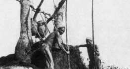 Поливно устройство в Древен Египет, т.н. "шадуф"