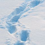 Следи от стъпки в снега