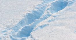 Следи от стъпки в снега