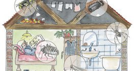 Жилищните сгради могат да приютят много видове артроподи.