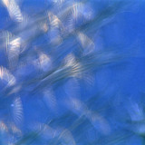 Летящи птици